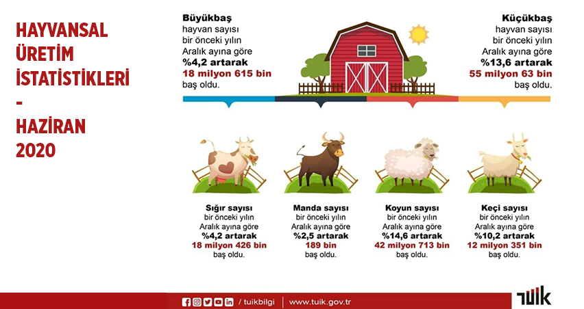 Image: http://hayvancilikakademisi.com/cdn/dosyalar/hayvansaluretimhaziran2020.jpg
