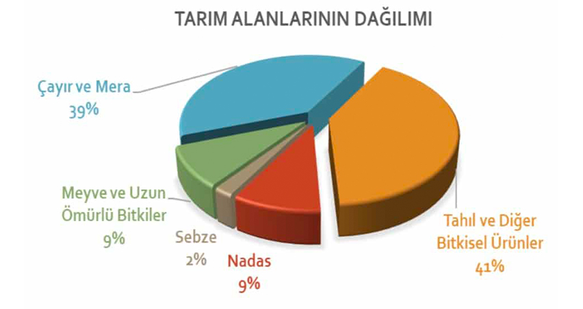 Image: http://hayvancilikakademisi.com/cdn/dosyalar/tarimalan-grafik.jpg