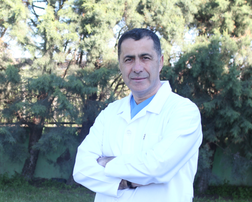  Prof. Dr. İsmet Türkmen