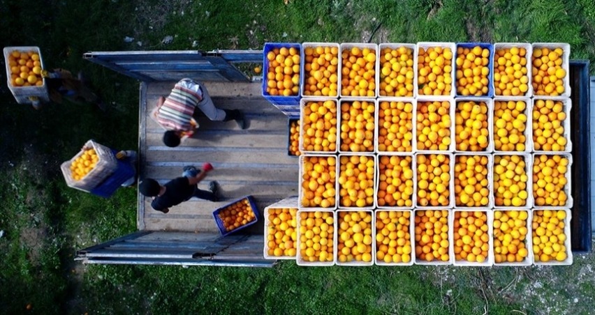 Türkiye 2020'de Ukrayna'ya en fazla meyve ihraç eden ülke oldu
