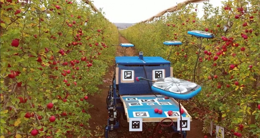 Dronlar elmaları toplamaya başlıyor