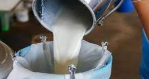 2022 çiğ süt desteği başvuru esasları