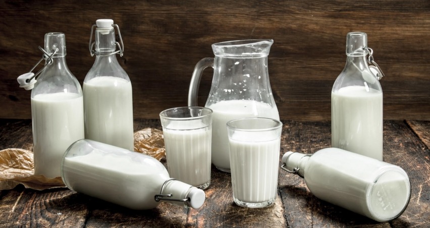 Çiğ süt desteği ödemelerine ilişkin esaslar belli oldu