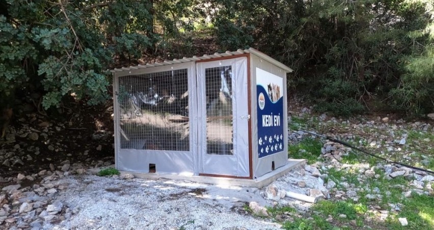 Marmaris Belediyesi'nden kedi evi projesi
