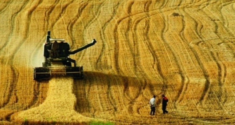 Çiftçilere bu yıl için ödenecek tarımsal destekler belli oldu
