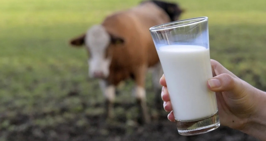 TÜSEDAD çiğ süt üretim maliyetlerini açıkladı