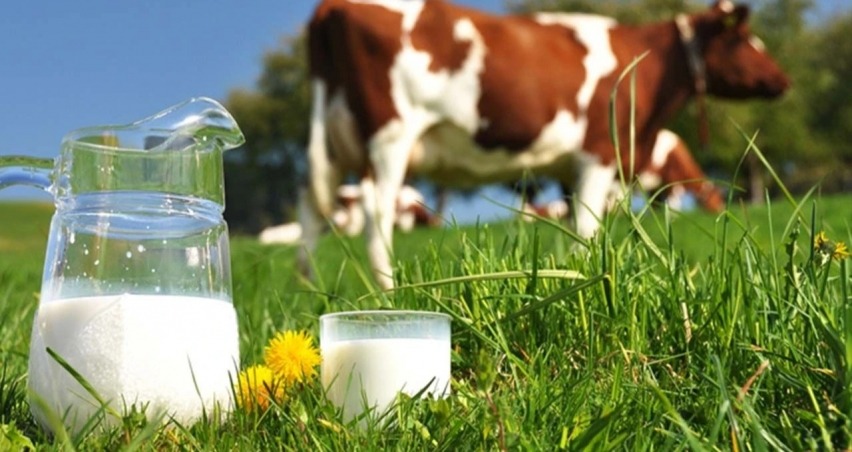 Ulusal Süt Konseyi, çiğ süt fiyatını 14,65 liraya çıkardı!