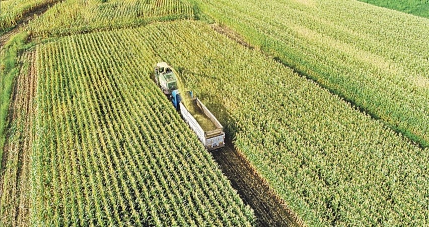 Tarımdaki üretici fiyatları bir ayda yüzde 2 arttı