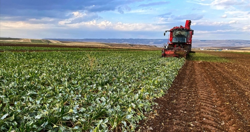 Çiftçilerin destek ödemeleri bugün hesaplara yatıyor