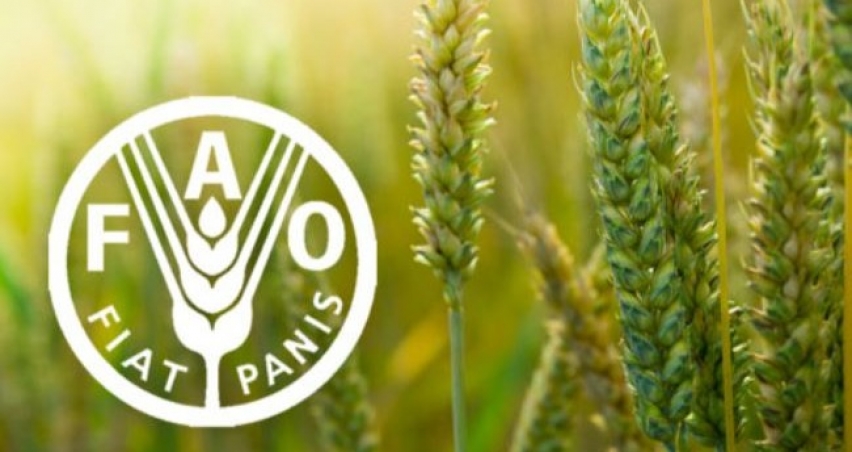 Türkiye, FAO konsey üyeliğine seçildi