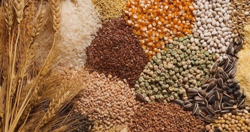 TMO Kasım ayı hububat satışlarını açıkladı