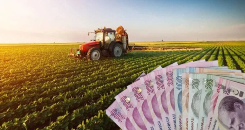 Tarımda planlı üretime destek: Mazotun tamamı ödenecek
