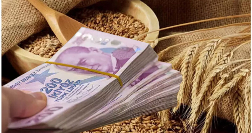 Hububatta Ağustos: Buğday Yükseldi, Arpa Geriledi; Çavdar ve Yulaf Öne Çıktı.