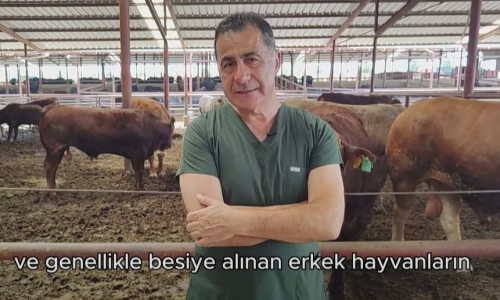 Verim Kayıplarına Neden Olan Unsurlar Nelerdir